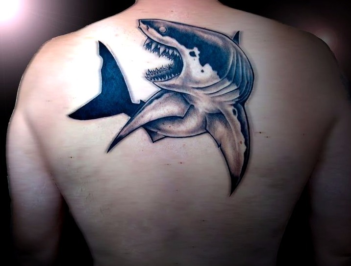 Las mejores ideas de de tiburones hombremujer