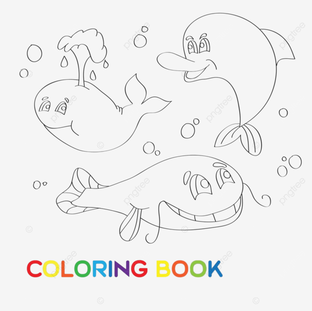 Libro para colorear vida marina tiburon naturaleza acuãtica vector png tiburon naturaleza acuãtico png y vector para dcargar gratis