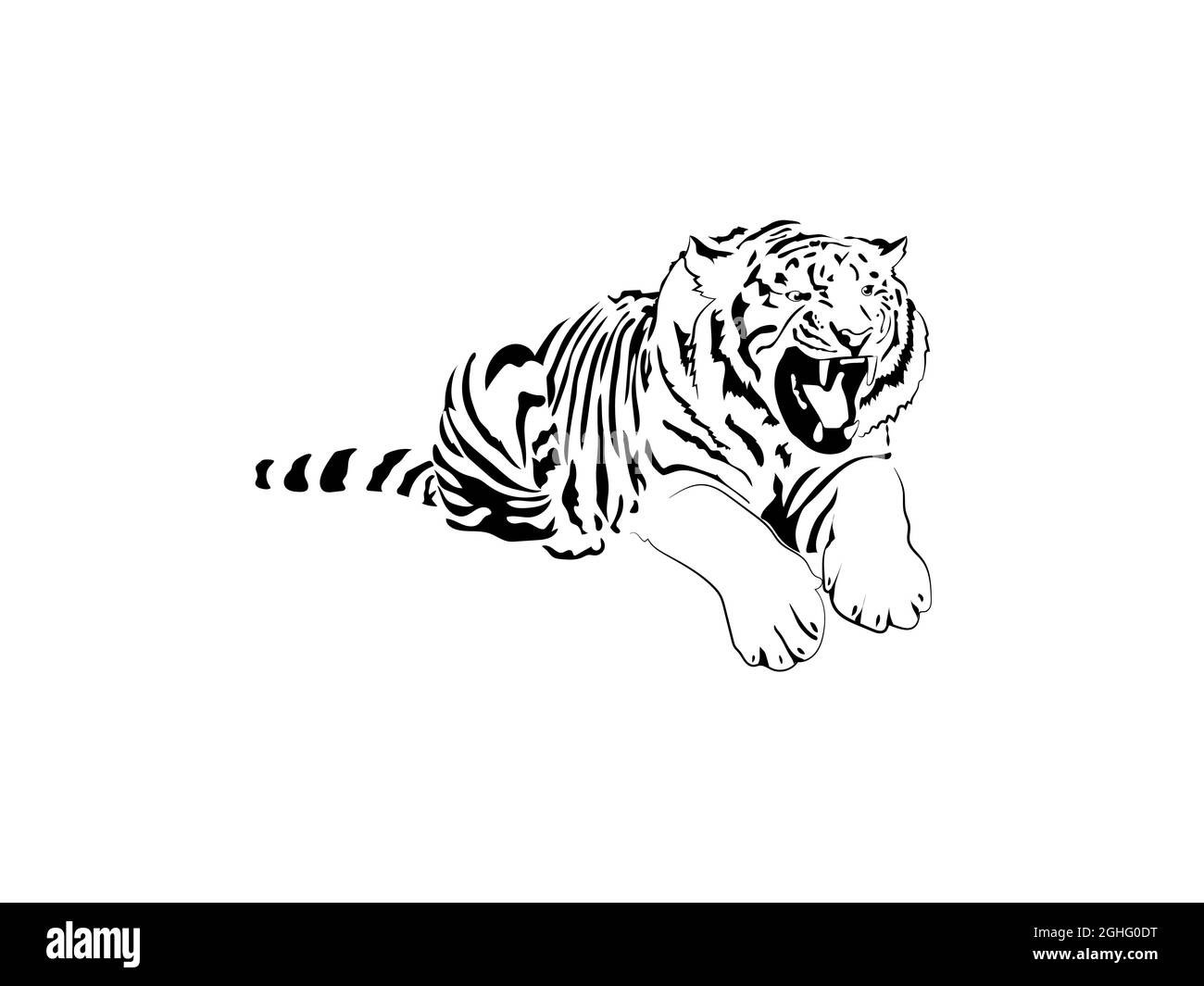 Tatuaje de tigre fotografãas e imãgen de alta roluciãn