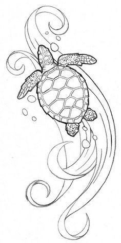 Tortuga turtle tattoo digns sea turtle tattoo turtle drawing