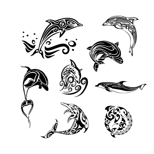 Imãgenes fotos de stock objetos en d y vectores sobre dolphin tattoo design