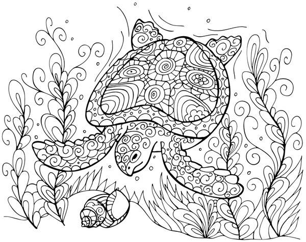 Imãgenes fotos de stock objetos en d y vectores sobre adult coloring pages turtles