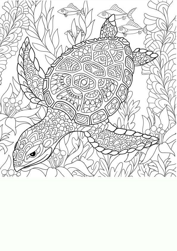 Dibujo para colorear mandala de una tortuga tortugas pintadas mandalas para colorear dibujos para colorear