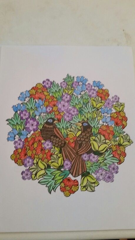 Flowers and birds coloring books colorful t coloring pages