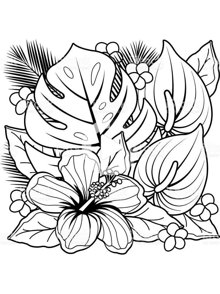 Dibujos para colorear de flores hd printable flower coloring pages flower coloring sheets flower coloring pages