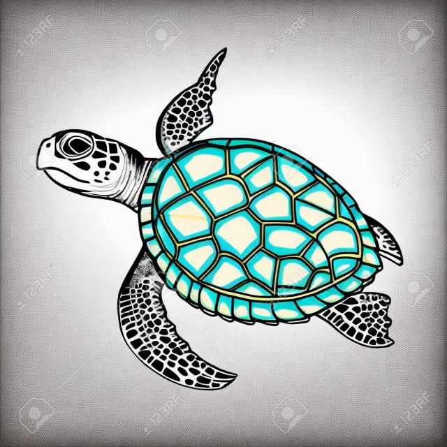 Ilustraciãn de las tortugas marinas en las pãginas del libro para colorear para niãos y adultos tatuaje efecto de diseão de la camisa y la decoraciãn ilustracion svg vectorial clip art vectorizado