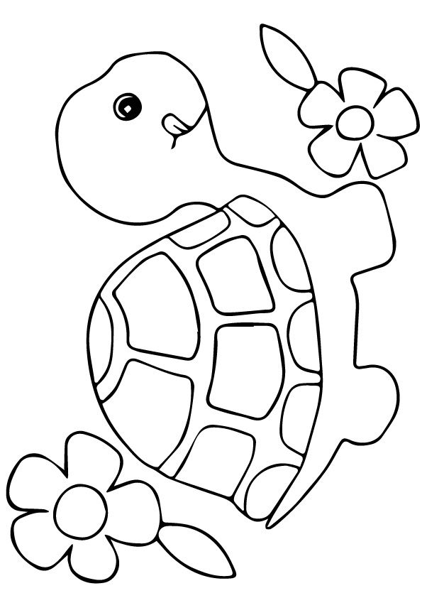 Coloring page turtle coloring pages coloring pages flower coloring pages
