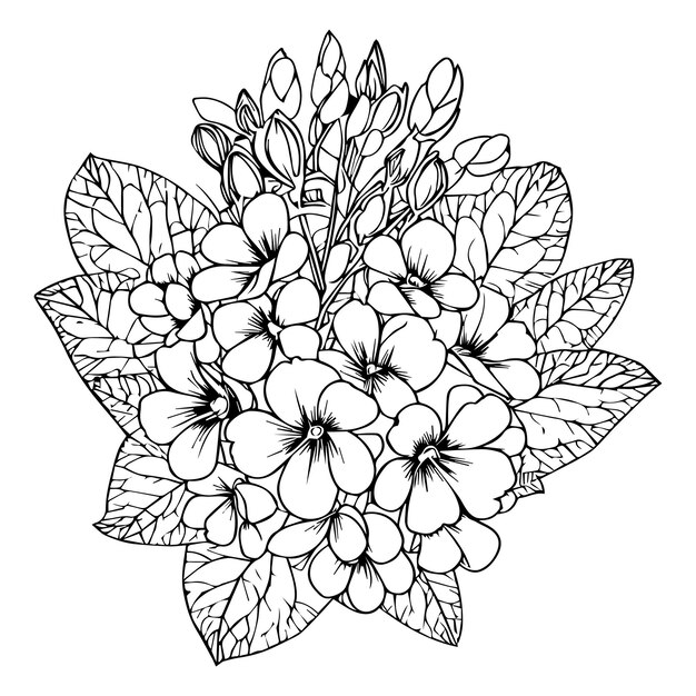 Prãmula flor dibujo prãmula flor pãgina para colorear oenothera rosea dibujo lineal arte del tatuaje vector premium