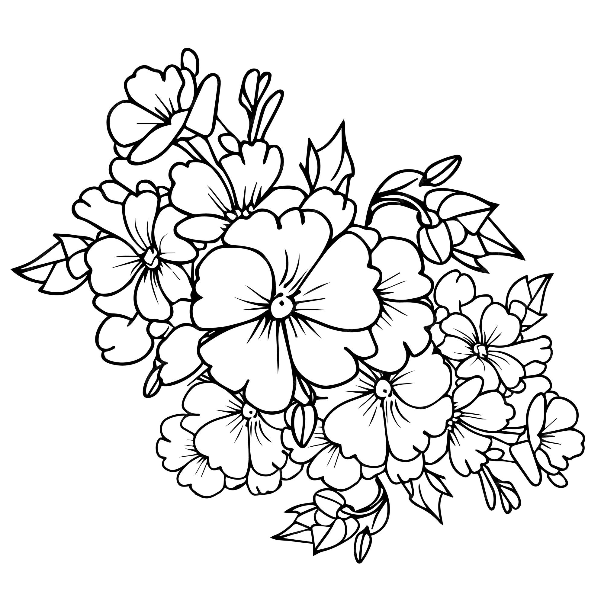 Prãmula flor pãgina para colorear onagra dibujo ilustraciãn prãmula dibujo fãcil vector premium
