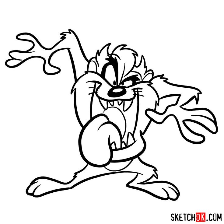How to draw taz the tasmanian devil