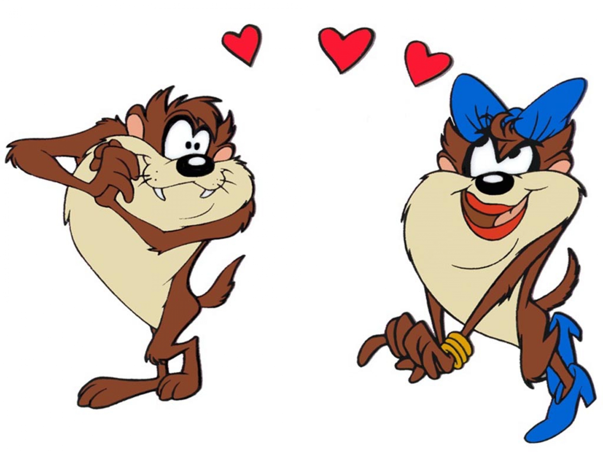 Tasmanian devil taz looney wallpaper x
