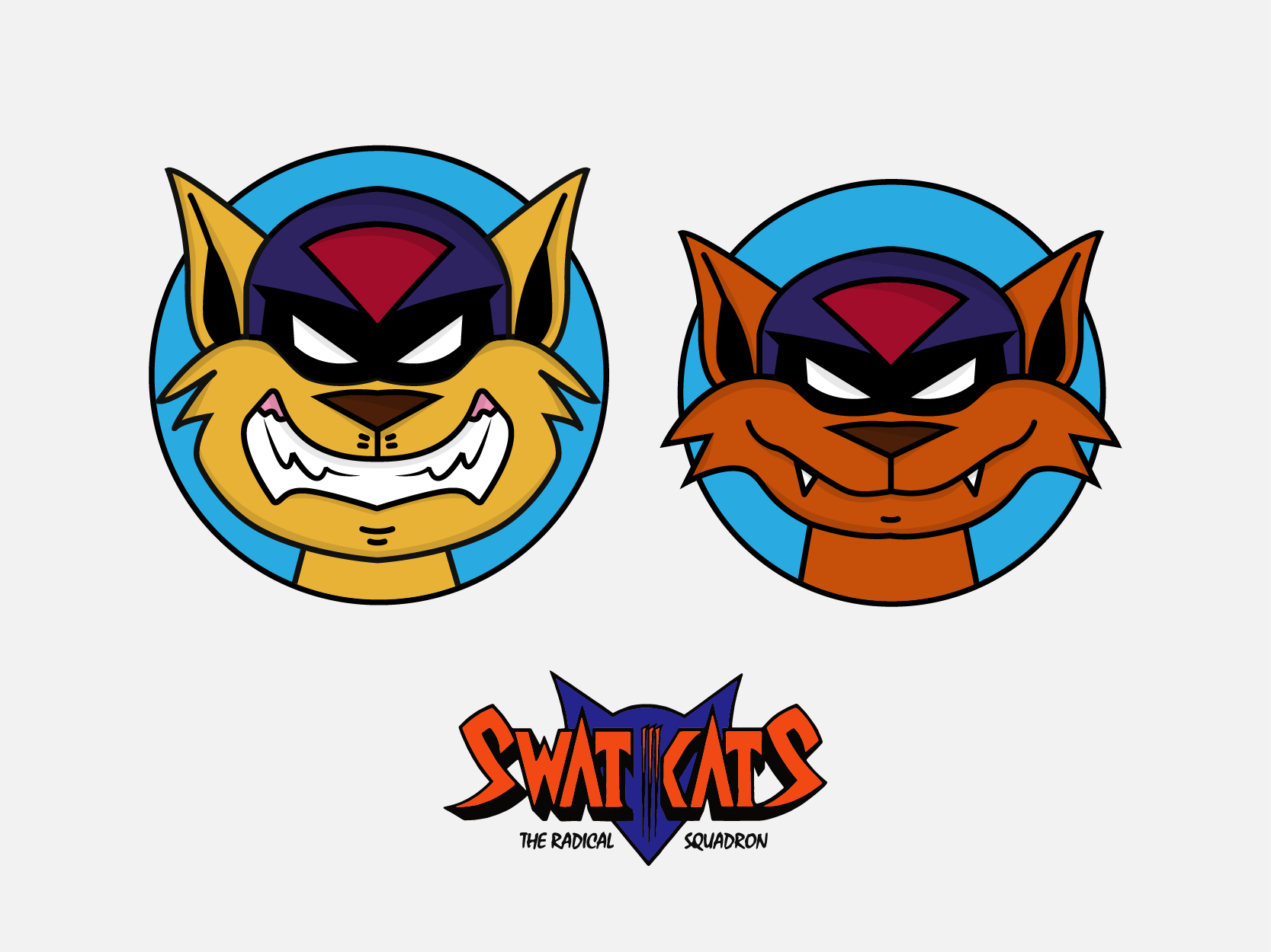 Swat kats