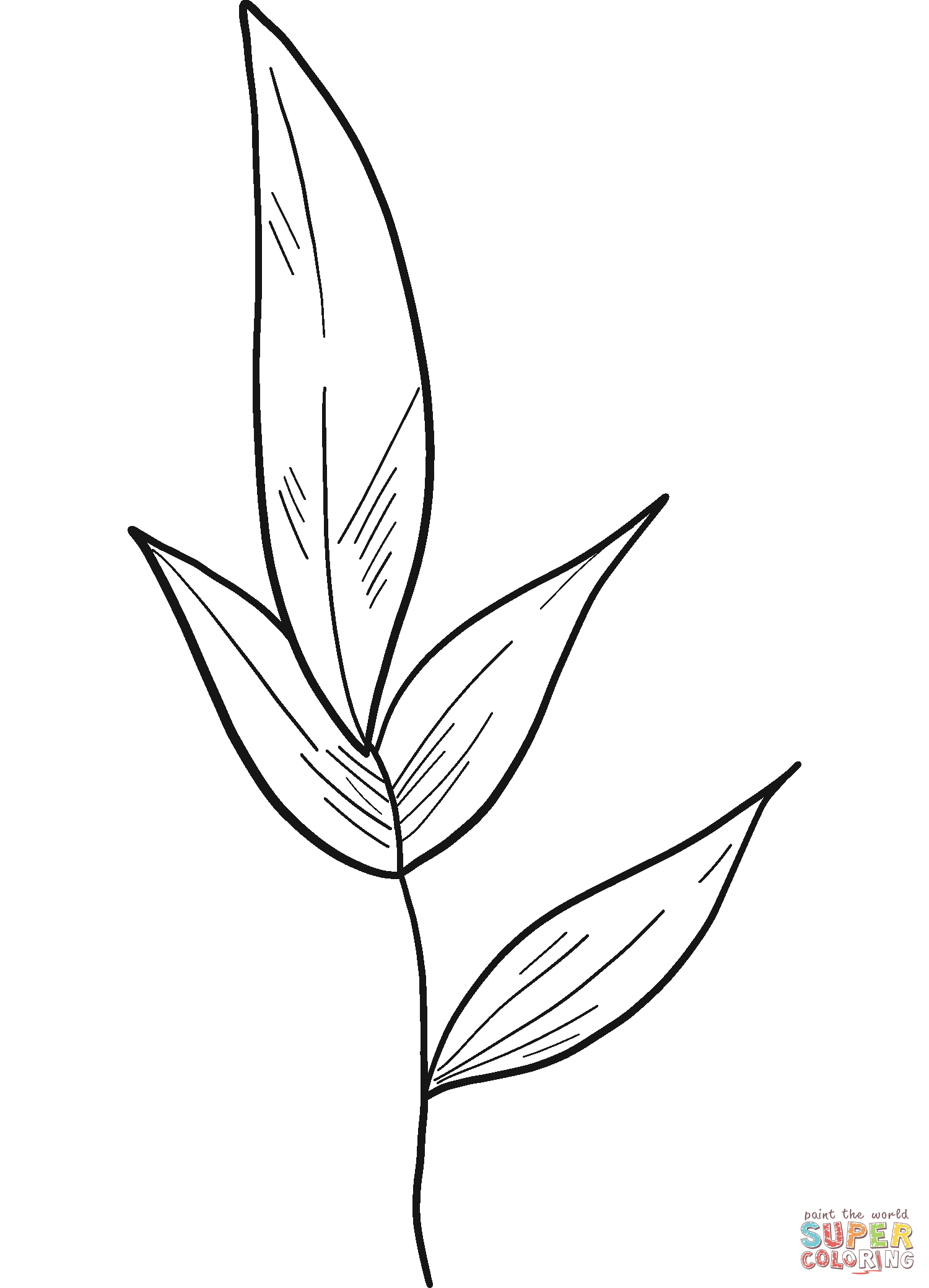 Tea leaves coloring page free printable coloring pages