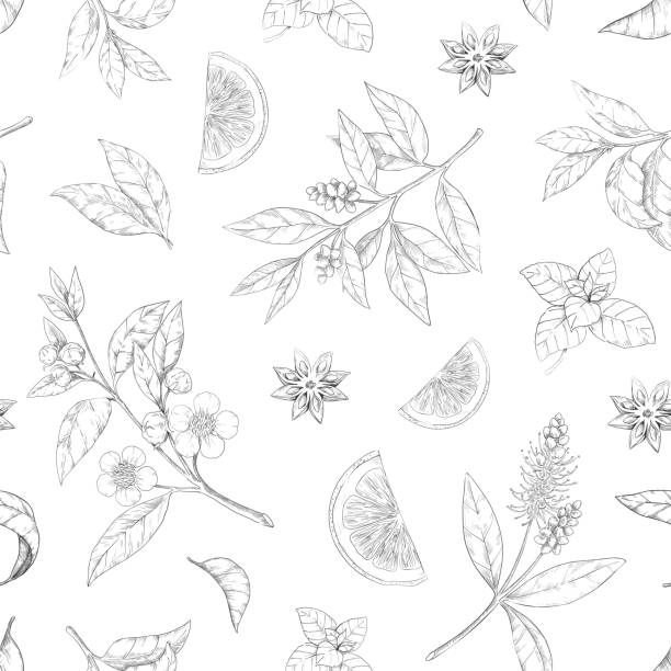 Black tea leaves illustration stock illustrations royalty