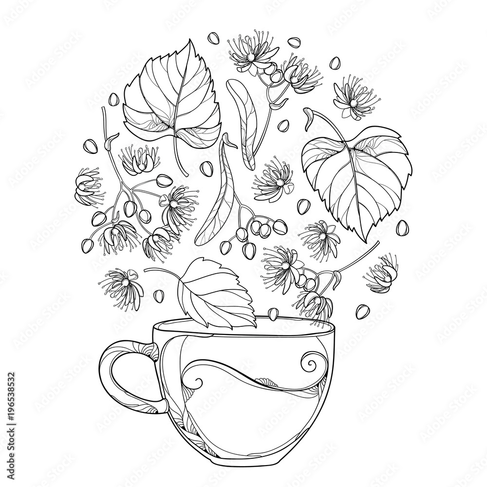 Vector outline cup of linden or tilia or basswood herbal tea in black isolated on white