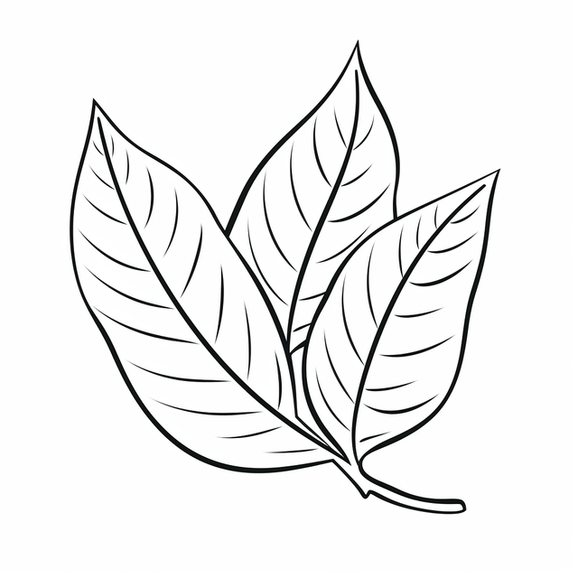 Tea leaf png vector psd and clipart with transparent background for free download