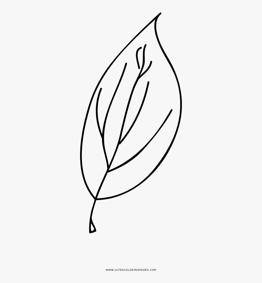 Tea leaf coloring page