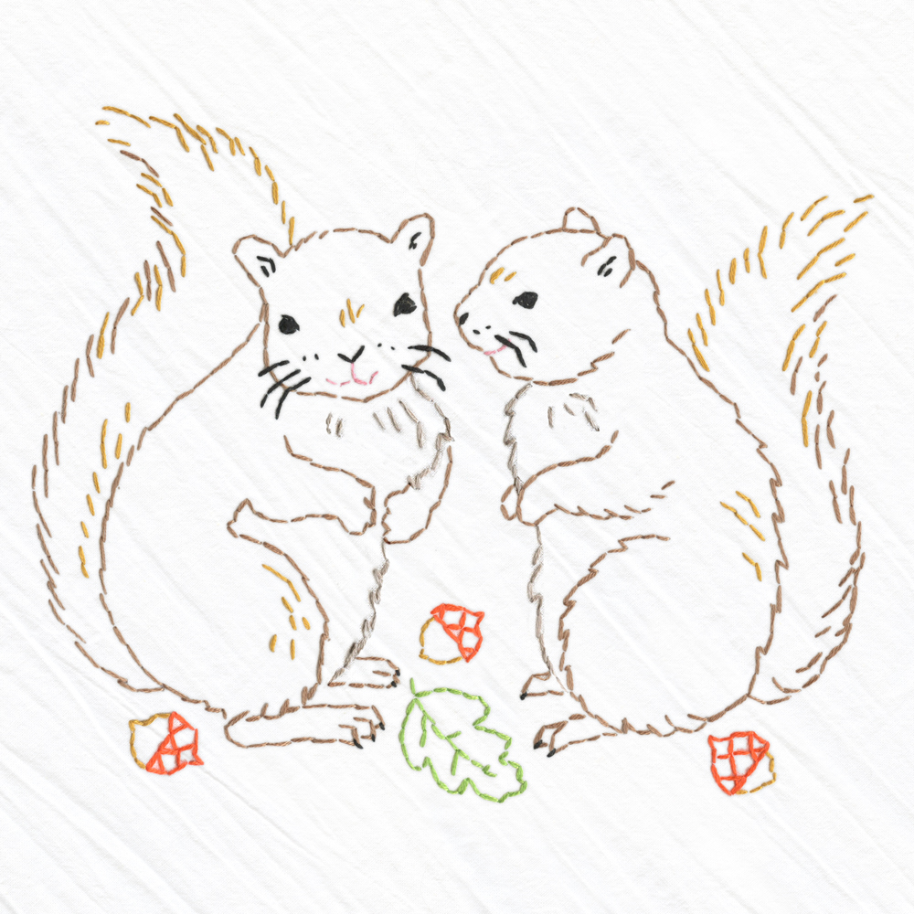 Squirrel embroidered whimsy tea towel kit â heidi boyd