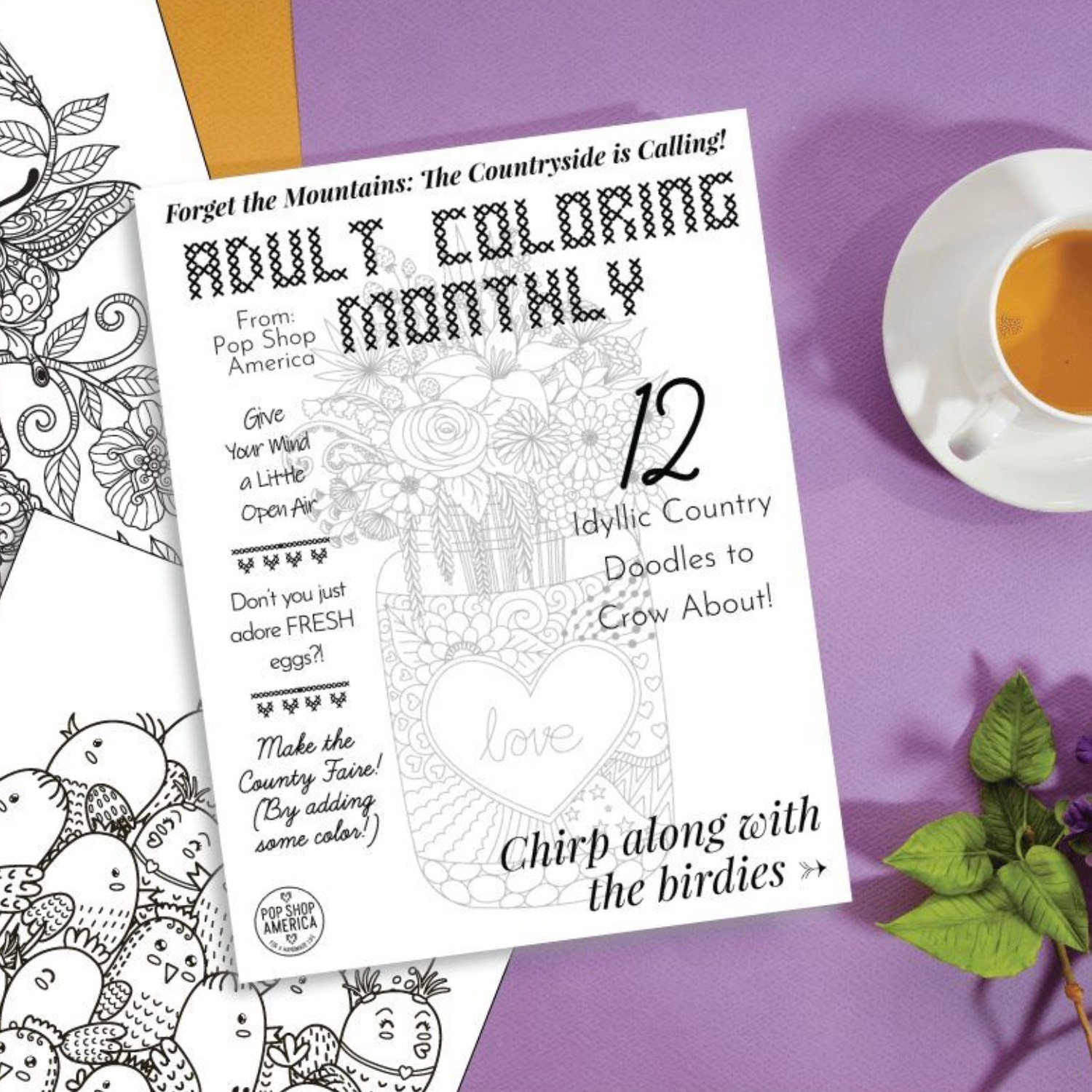 Country doodle adult coloring book