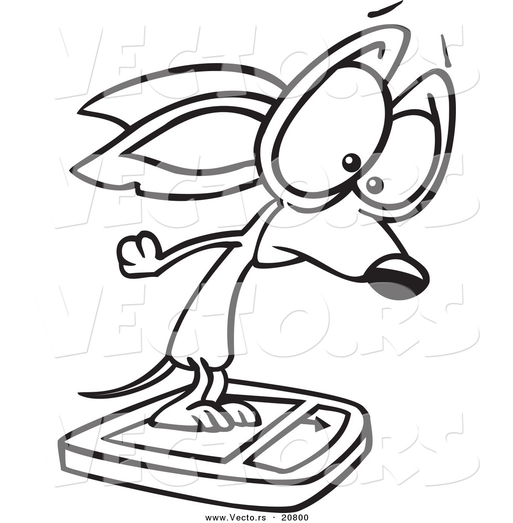 R of a cartoon chihuahua on a scale