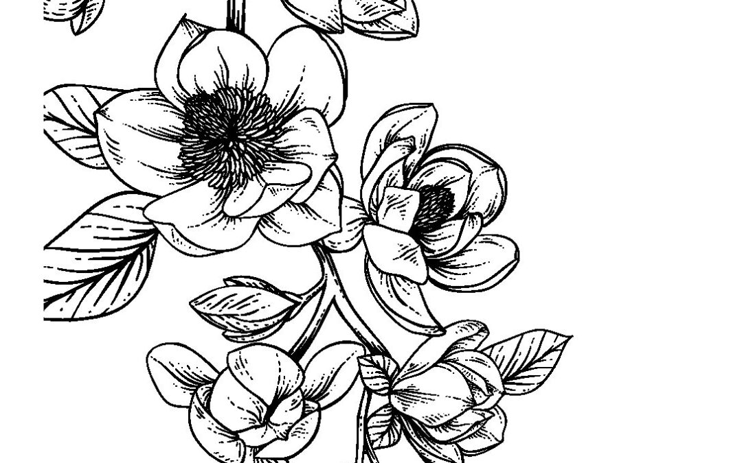 Adult teen coloring pages week