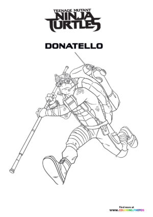 Teenage mutant ninja turtles
