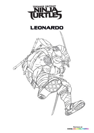 Teenage mutant ninja turtles