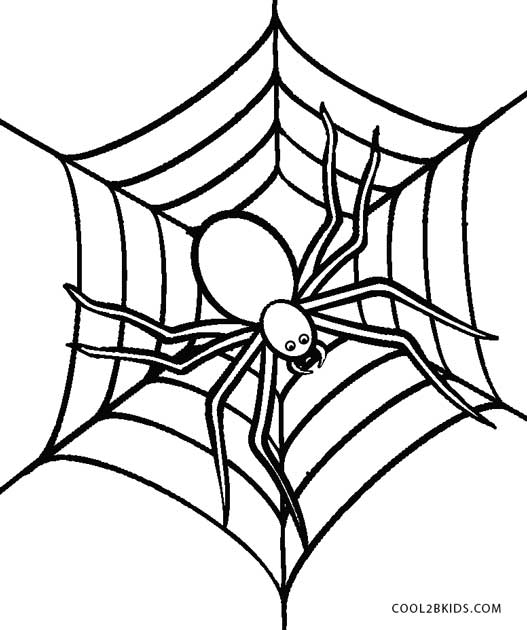 Free printable spider coloring pages for kids