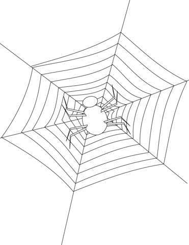 Spider making its web coloring page free printable coloring pages