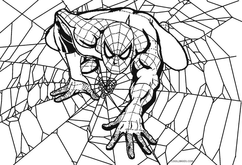 Free printable spider coloring pages for kids
