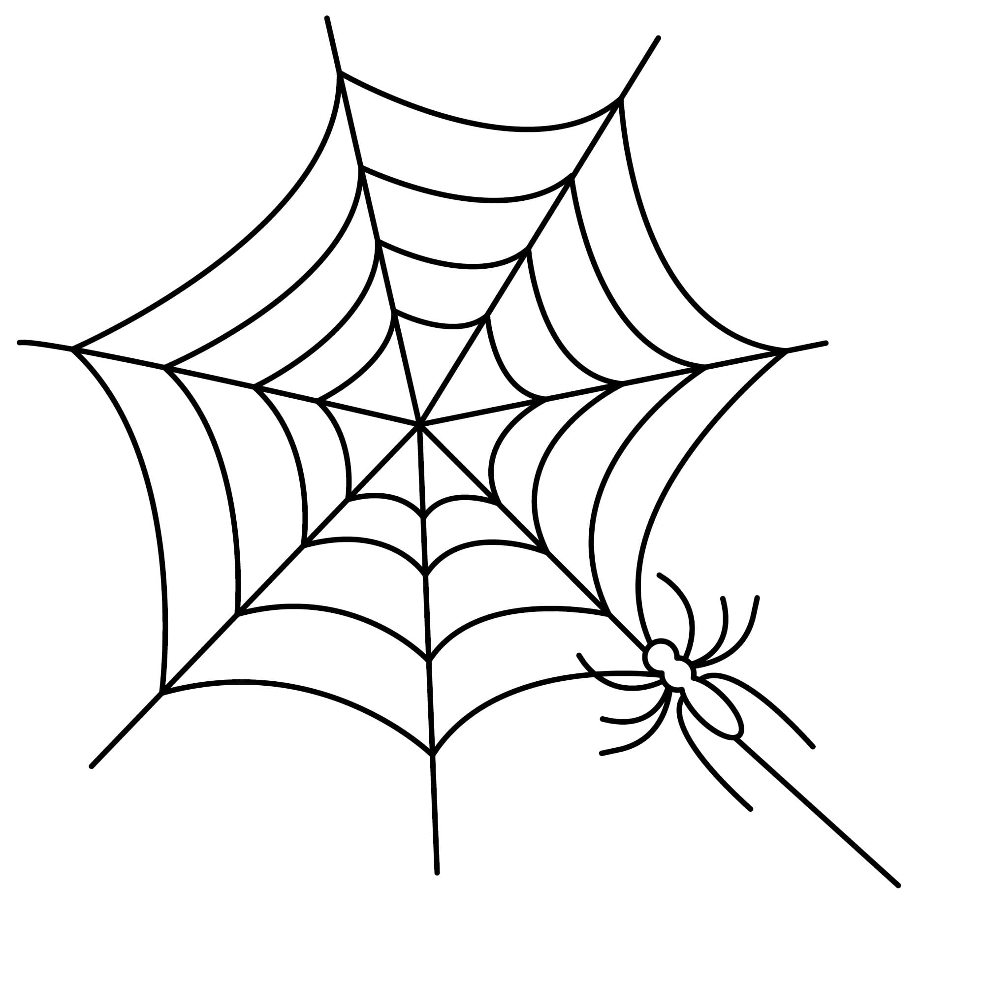 Dibujos de tela de araãa para colorear