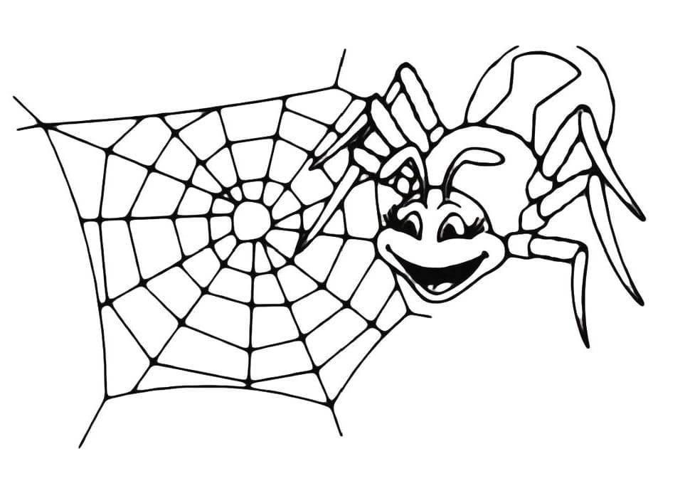 Dibujos de tela de araãa para colorear