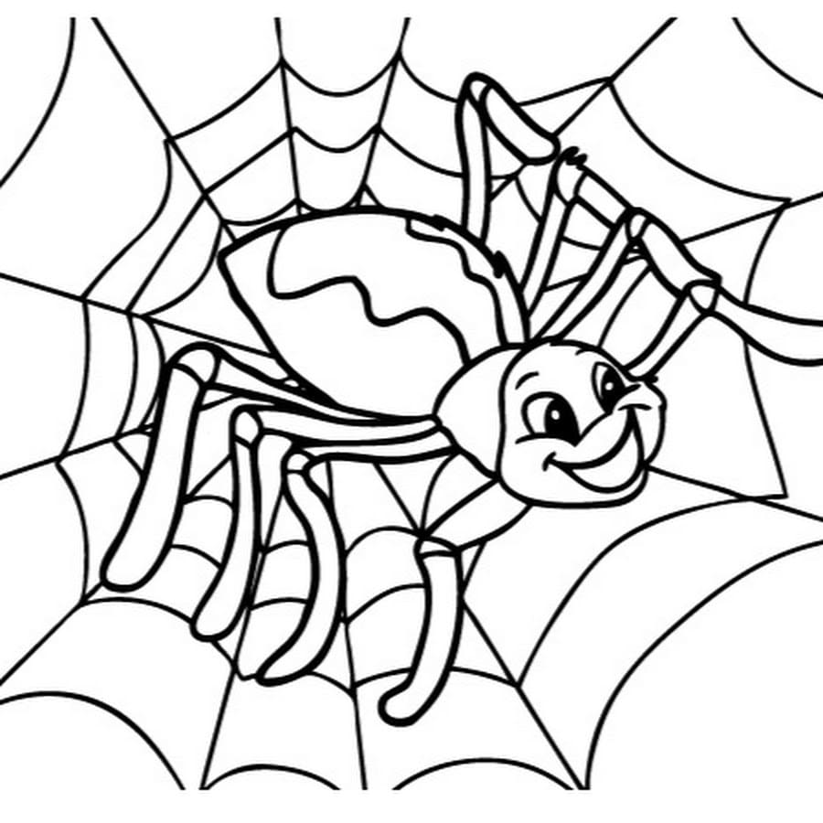 Dibujos de tela de araãa para colorear