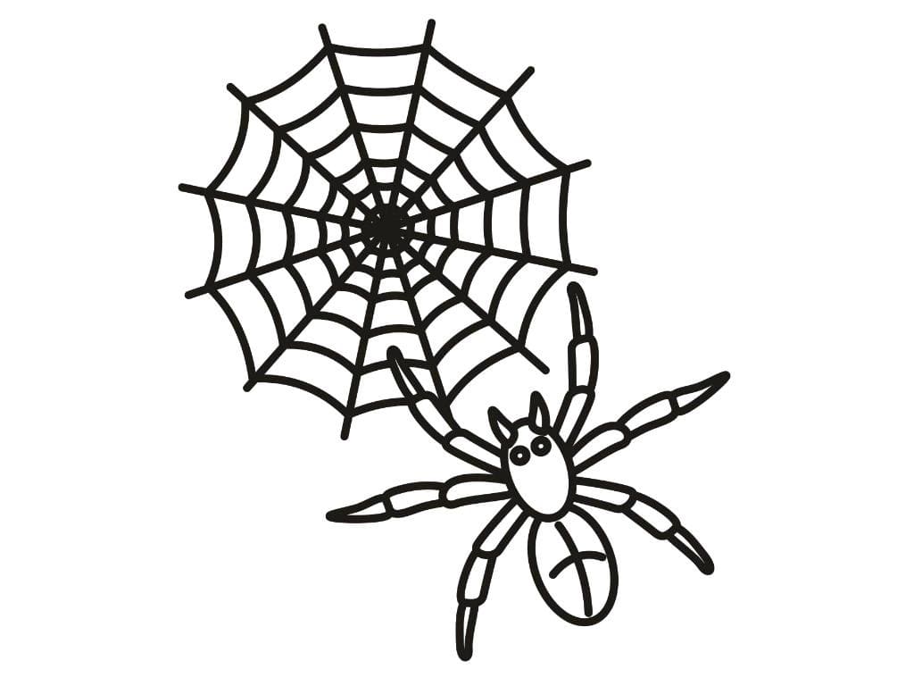 Dibujos de tela de araãa para colorear