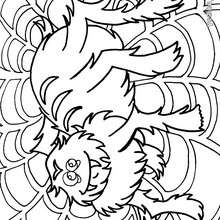 Dibujos para colorear telaraãa