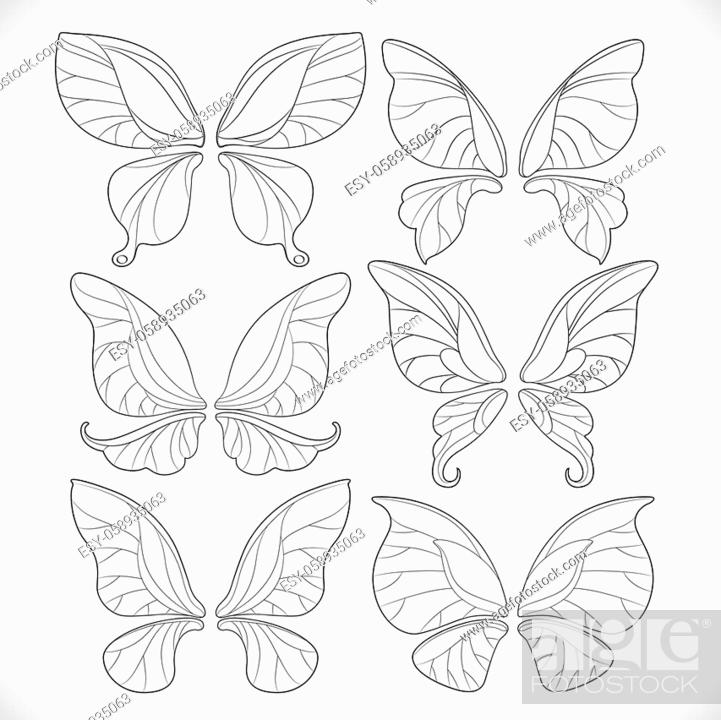 Fairy wings different form outlines set isolated on a white background stock vector vector and low budget royalty free image pic esy