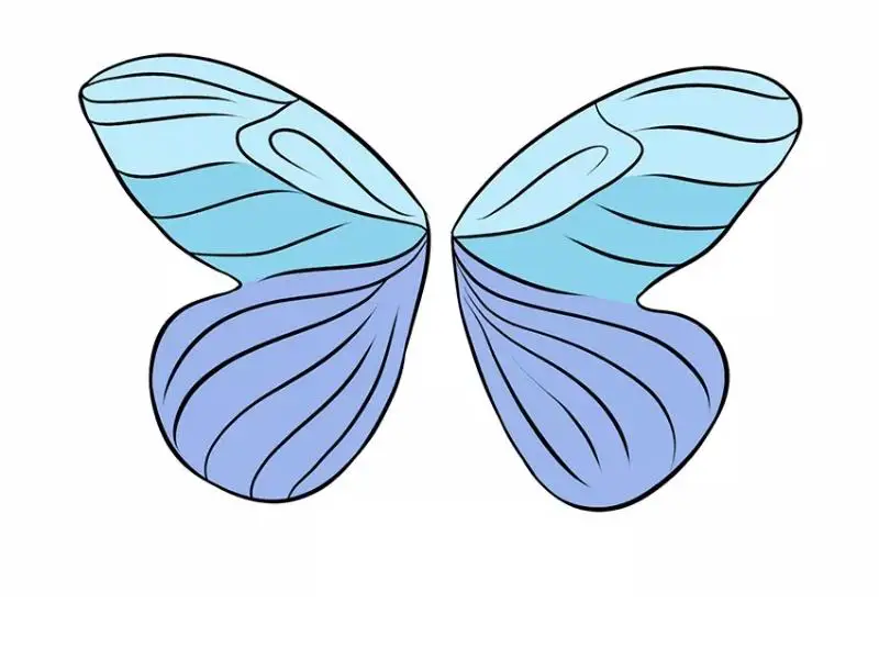 How to draw fairy wings