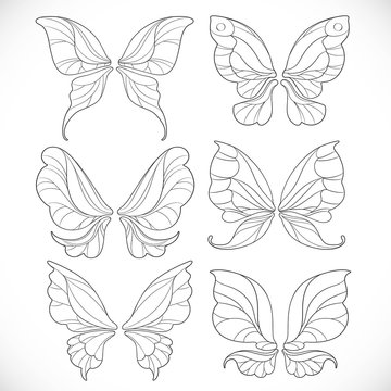 Fairy wings images â browse photos vectors and video