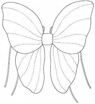 Numero fairy wings rose â
