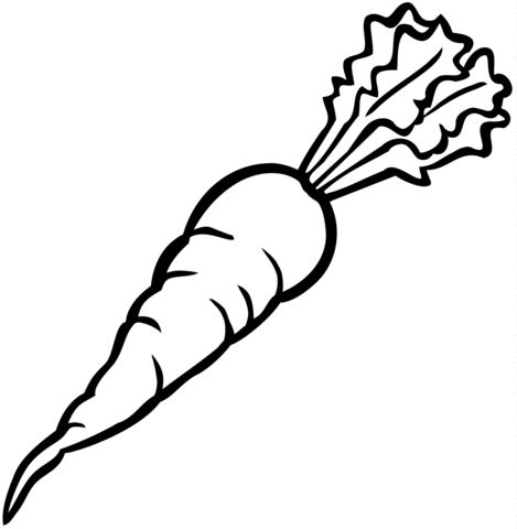 Carrot coloring page from carrots category select from printable crafts of cartoons natuâ coloring pages coloring pages for kids black and white cartoon