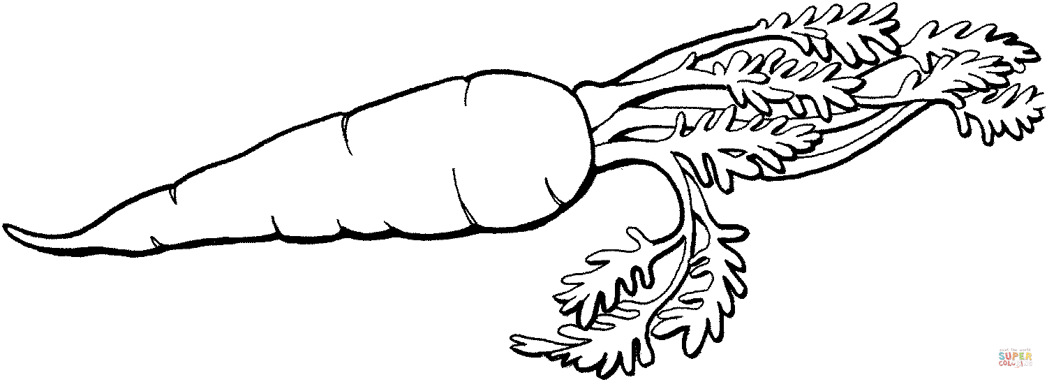 Carrot coloring page free printable coloring pages