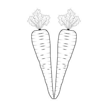 Premium vector carrot coloring pages