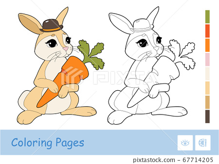 Colorful template and colorless contour image