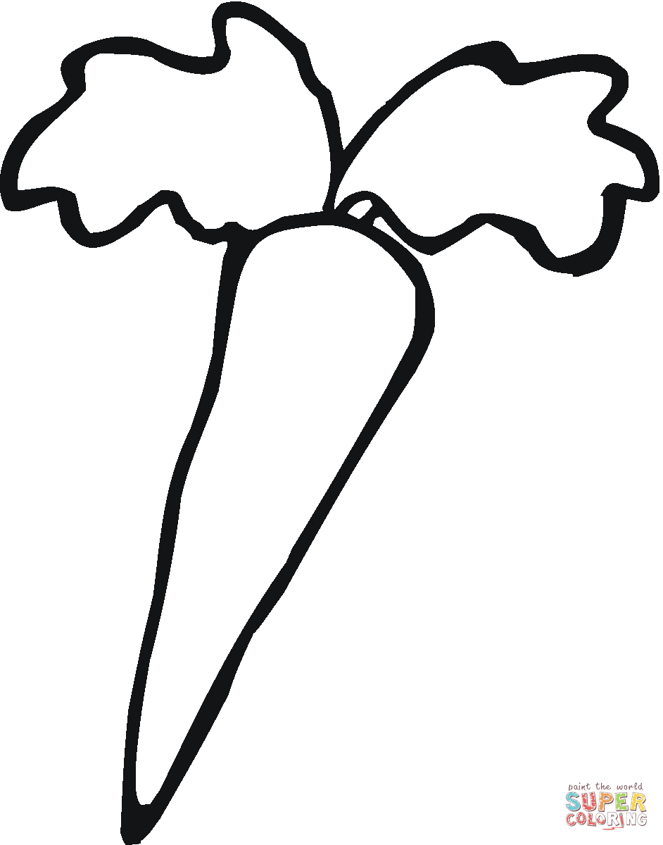 Carrot outline coloring page free printable coloring pages