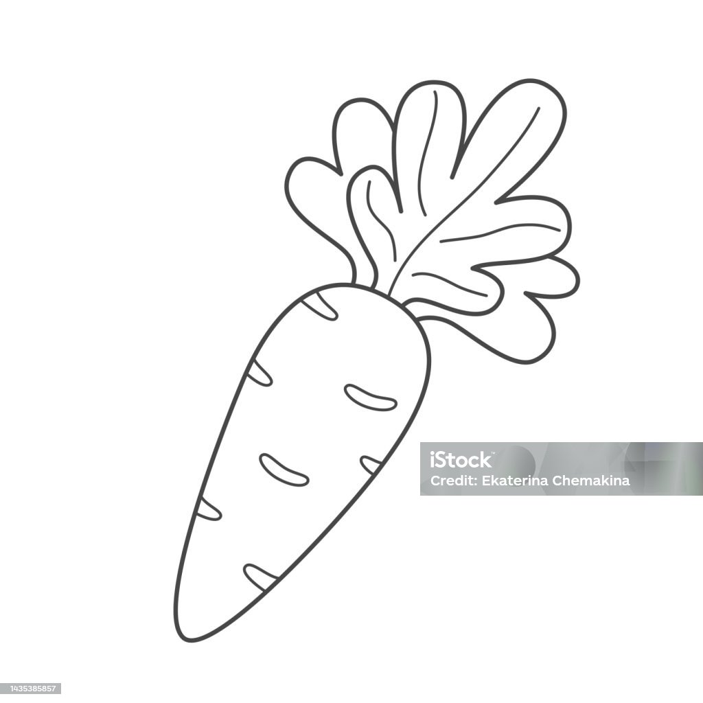 Childrens coloring page with a carrot vegetable coloring book black and white illustration stock illustration