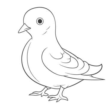 Drawing dove png transparent images free download vector files
