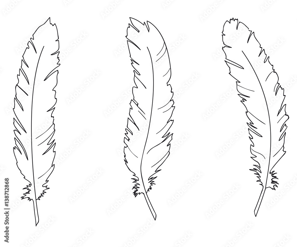 Three feathers of a swan writing pen coloring page vector