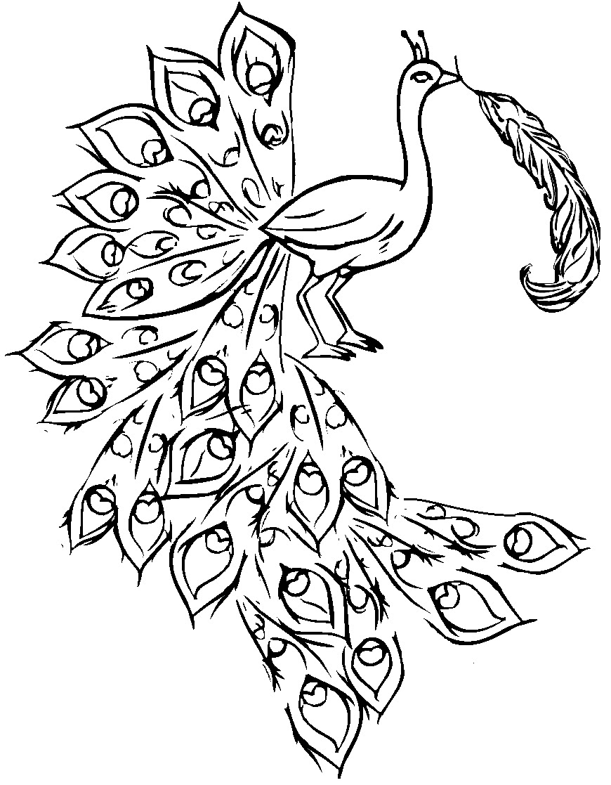 Free printable peacock coloring pages for kids