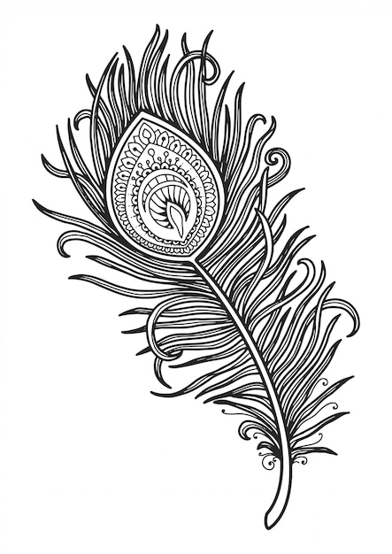 Premium vector mandala for coloring page peacock feather design