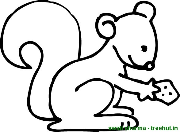 Squirrel colorg pages